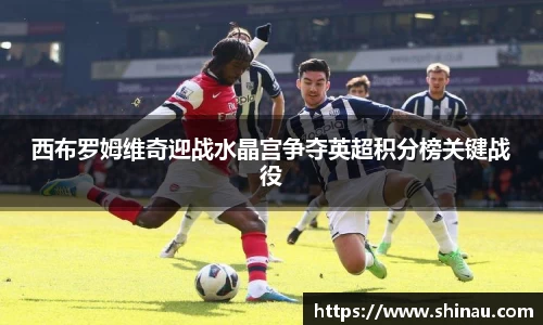 西布罗姆维奇迎战水晶宫争夺英超积分榜关键战役
